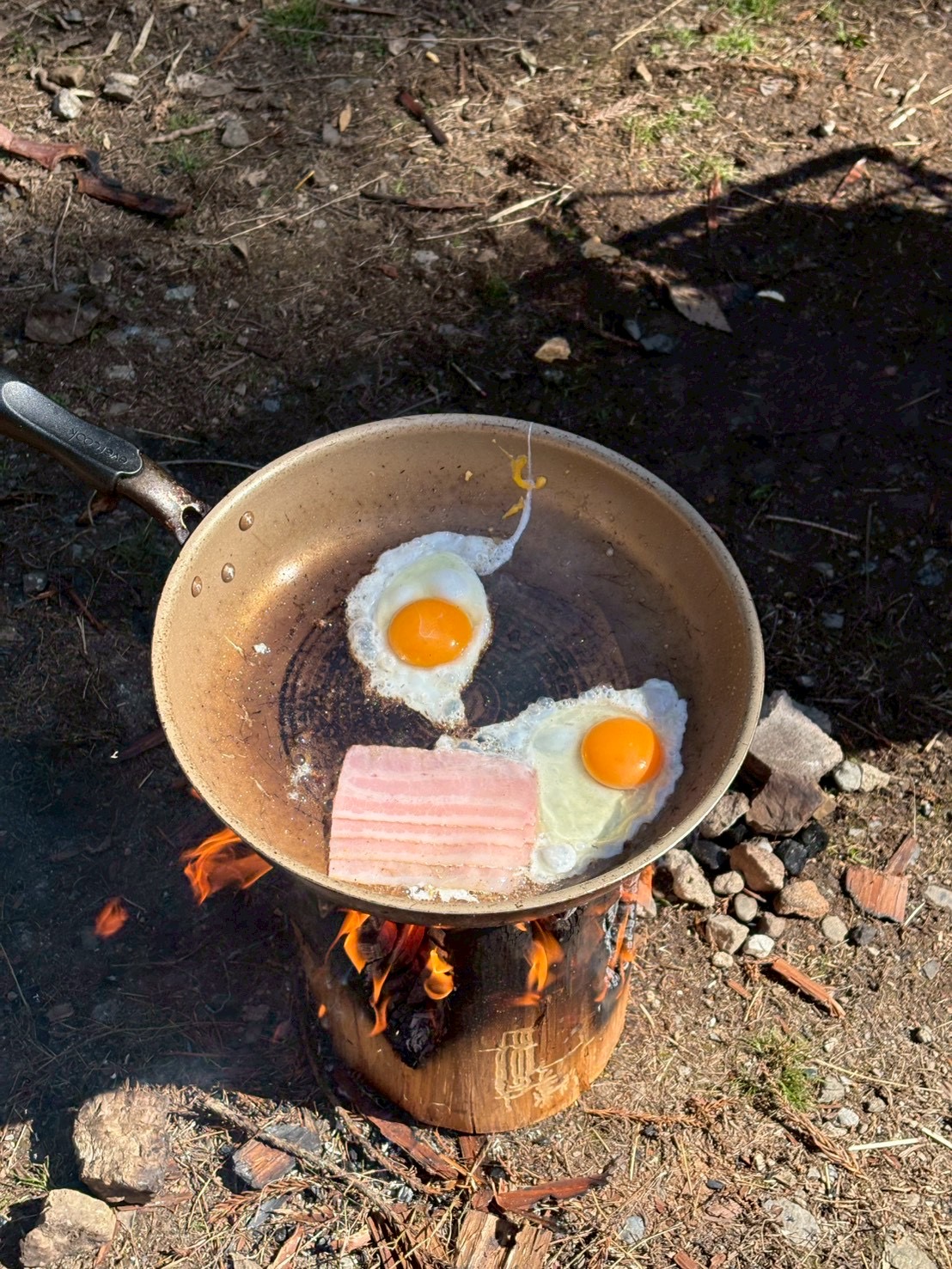 一次情報（岐阜市、一宮市：フリースクール、通信制高...