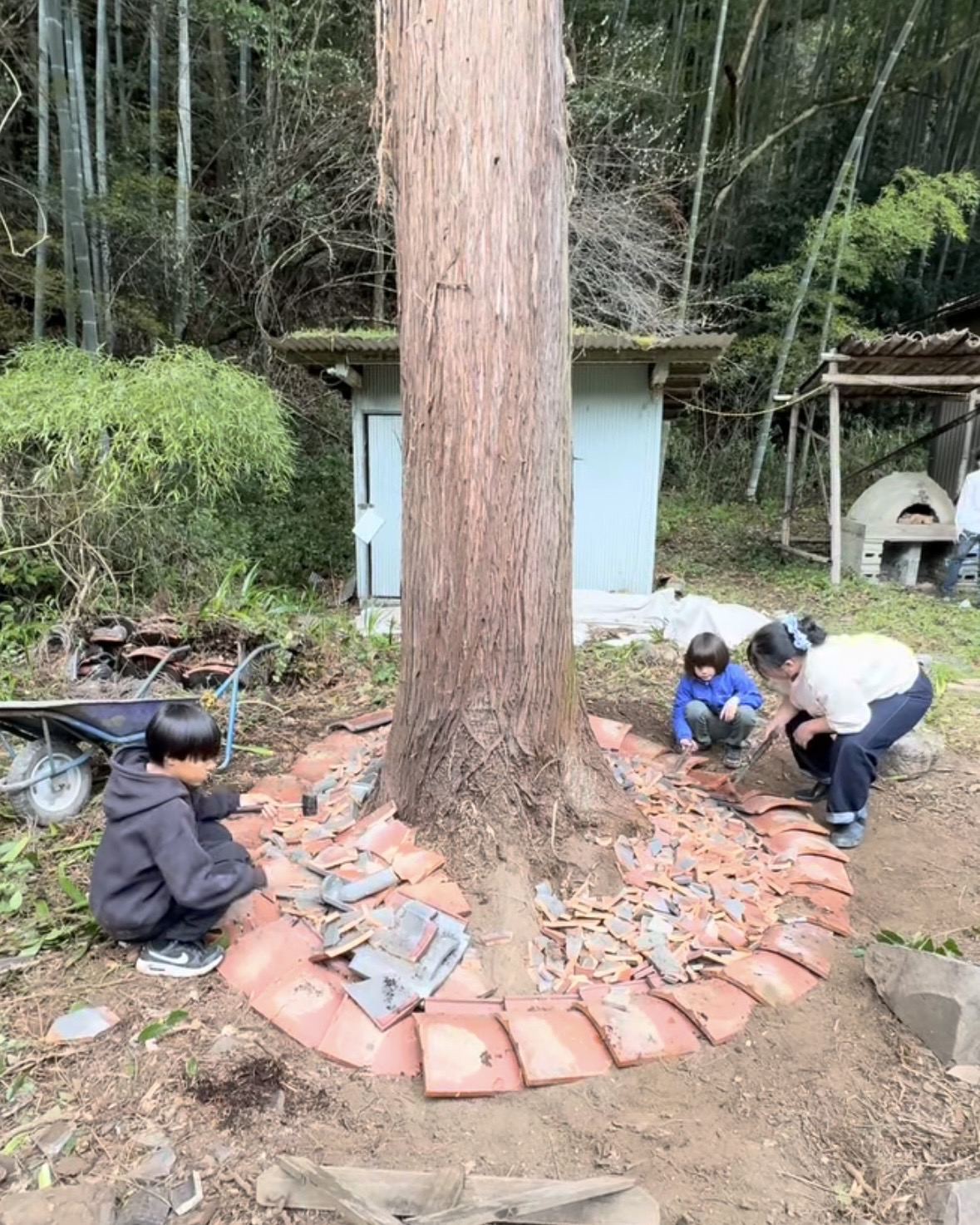 お山の改造（岐阜市、一宮市：フリースクール、通信制...
